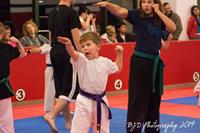 Little Dragon Belt Test 2014-11-07
