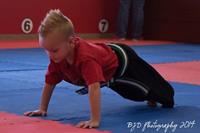 TinyTigersBeltTest-19